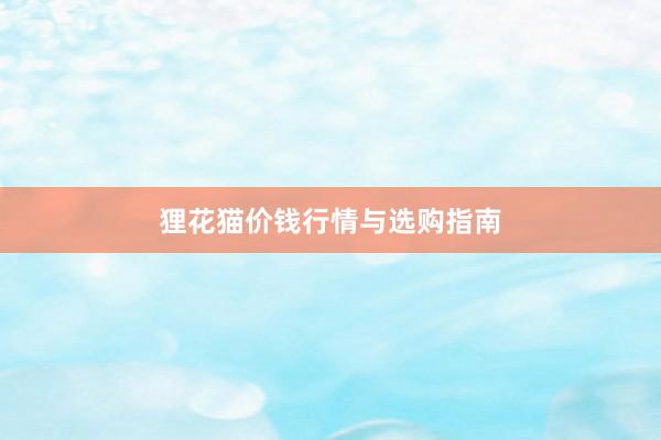 狸花猫价钱行情与选购指南